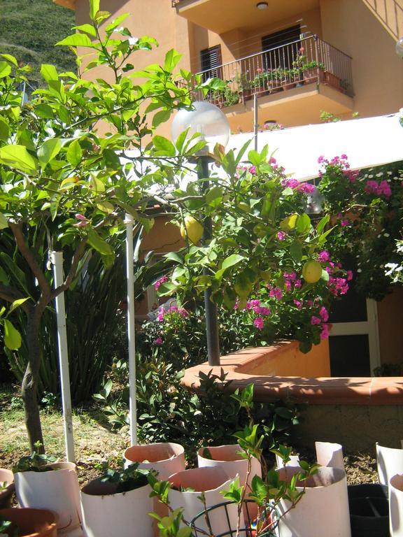 Terrazza Mimosa Lejlighed Cefalù Eksteriør billede